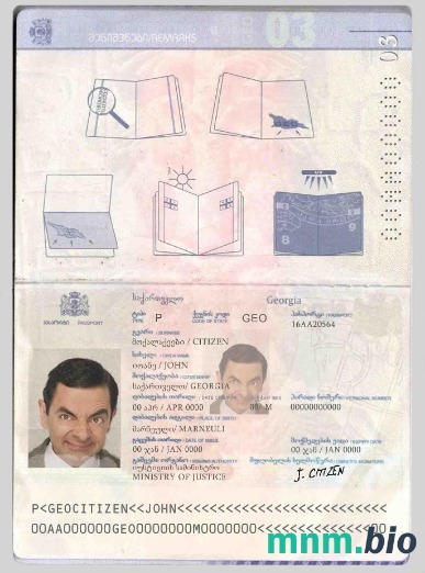 Przykład paszportu Gruzji w formacie PSD, w pełni edytowalny